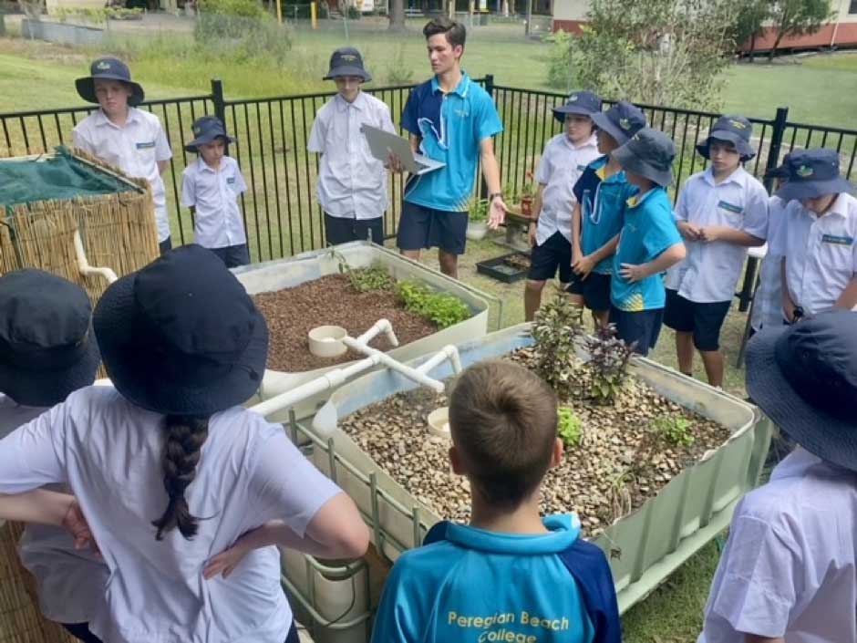 Senior student Jayden and James explaining to 5C how aquaponics works