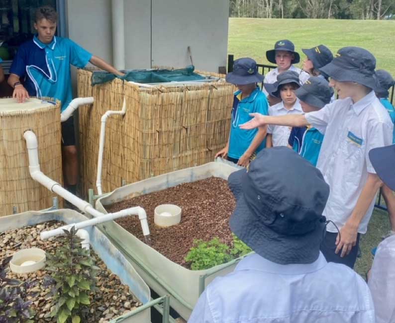 Senior student Jayden and James explaining to 5C how aquaponics works